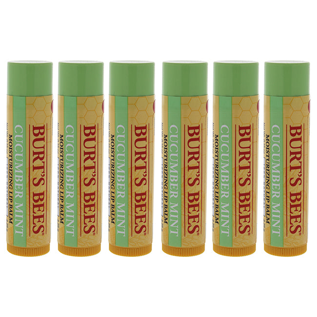 Cucumber Mint Moisturizing Lip Balm by Burts Bees for Women - 0.15 oz Lip Balm - Pack of 6