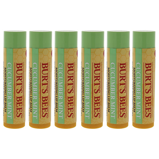 Cucumber Mint Moisturizing Lip Balm by Burts Bees for Women - 0.15 oz Lip Balm - Pack of 6