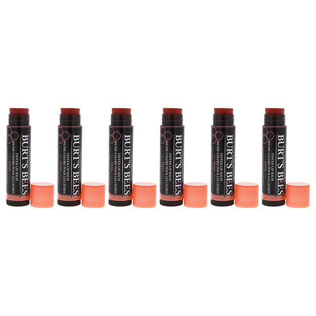 Tinted Lip Balm - Zinnia by Burts Bees for Women - 0.15 oz Lip Balm - Pack of 6