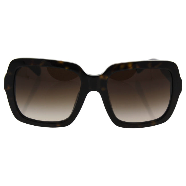 Dolce and Gabbana DG 4273 502-13 - Havana-Brown Gradient by Dolce and Gabbana for Women - 55-20-140 mm Sunglasses