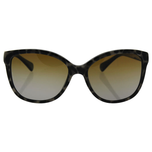 Dolce and Gabanna DG 4258 1995-T5 - Leopard On Black-Brown Gradient Polarized by Dolce and Gabbana for Women - 56-17-140 mm Sunglasses